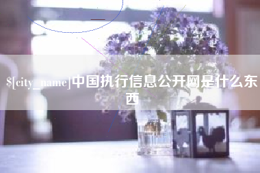浮梁中国执行信息公开网是什么东西