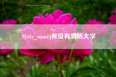 浮梁有没有消防大学