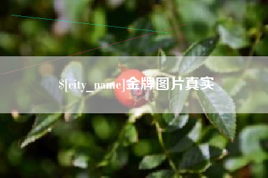 浮梁金牌图片真实