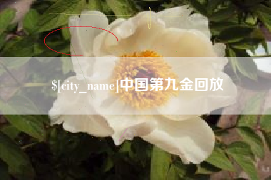 浮梁中国第九金回放