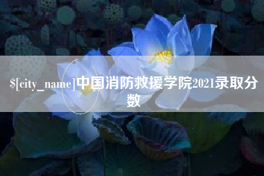 浮梁中国消防救援学院2021录取分数