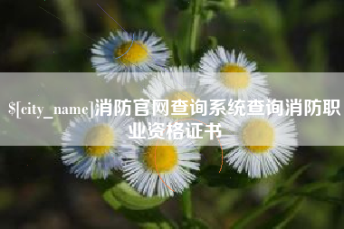 浮梁消防官网查询系统查询消防职业资格证书