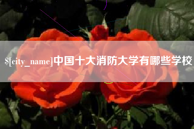 浮梁中国十大消防大学有哪些学校