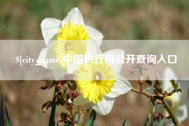 浮梁中国执行网公开查询入口