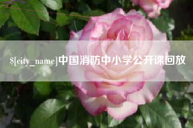 浮梁中国消防中小学公开课回放