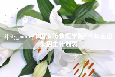 浮梁中国消防救援学院2020年在山东招生计划表