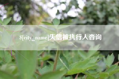 浮梁失信被执行人杳询