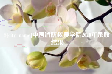 浮梁中国消防救援学院2020年录取结果
