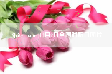 浮梁11月9日全国消防日图片