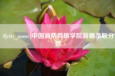 浮梁中国消防救援学院新疆录取分数