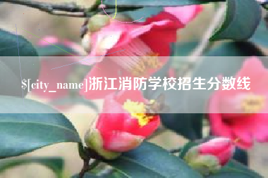 浮梁浙江消防学校招生分数线
