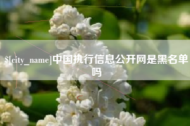 浮梁中国执行信息公开网是黑名单吗
