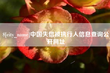 浮梁中国失信被执行人信息查询公开网址