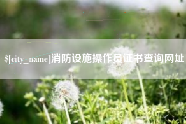 浮梁消防设施操作员证书查询网址