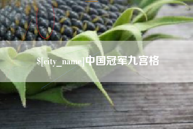 浮梁中国冠军九宫格
