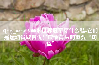 浮梁5000米世界冠军穿什么鞋-它们是运动员取得优异成绩背后的重要“功臣”