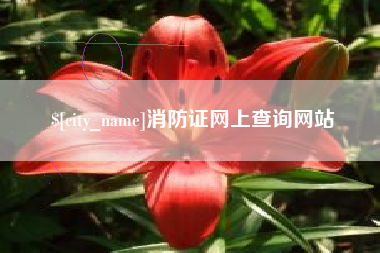 浮梁消防证网上查询网站