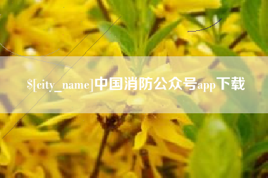 浮梁中国消防公众号app下载