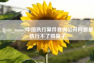 浮梁中国执行案件查询公开网都是执行不了得案子