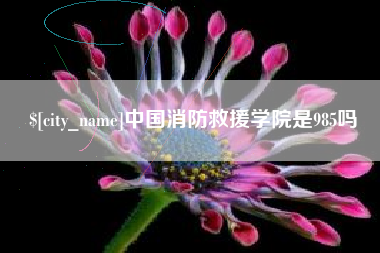 浮梁中国消防救援学院是985吗