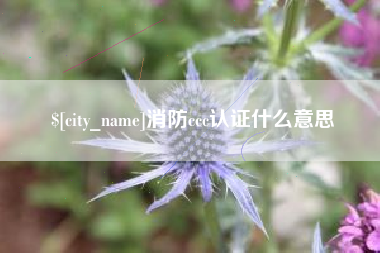 浮梁消防ccc认证什么意思