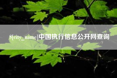 浮梁中国执行信息公开网查询