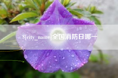 浮梁全国消防日哪一
