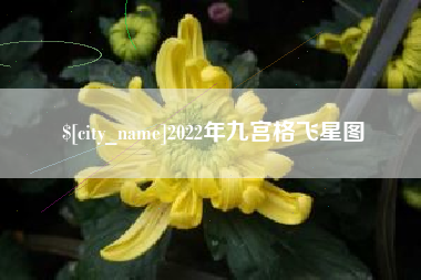 浮梁2022年九宫格飞星图