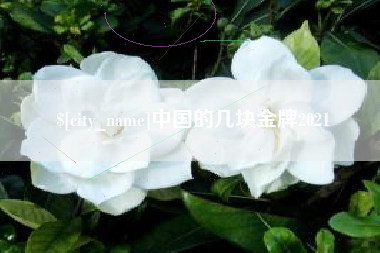 浮梁中国的几块金牌2021
