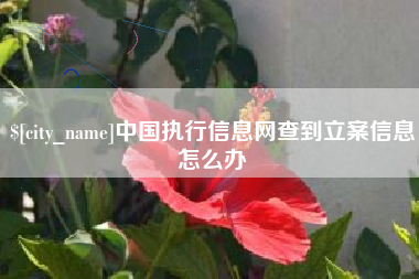 浮梁中国执行信息网查到立案信息怎么办
