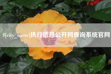 浮梁执行信息公开网查询系统官网