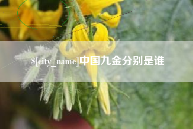 浮梁中国九金分别是谁