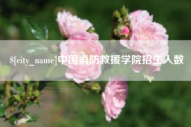 浮梁中国消防救援学院招生人数