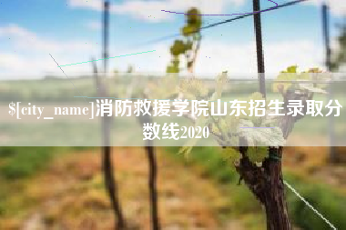浮梁消防救援学院山东招生录取分数线2020
