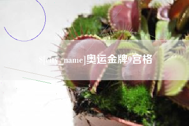 浮梁奥运金牌9宫格