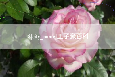 浮梁王子豪百科
