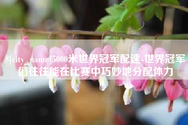 浮梁5000米世界冠军配速-世界冠军们往往能在比赛中巧妙地分配体力