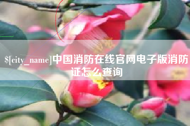 浮梁中国消防在线官网电子版消防证怎么查询