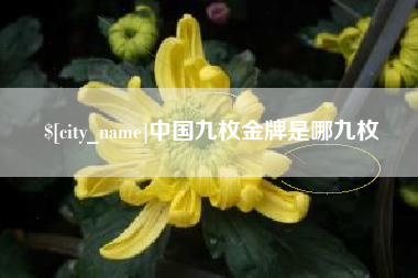 浮梁中国九枚金牌是哪九枚