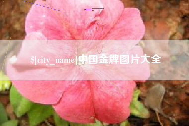 浮梁中国金牌图片大全