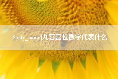 浮梁九宫宫位数字代表什么
