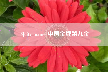 浮梁中国金牌第九金