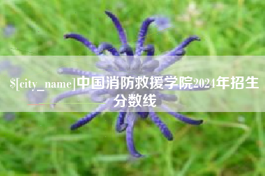 浮梁中国消防救援学院2024年招生分数线