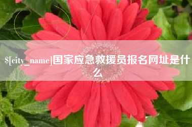 浮梁国家应急救援员报名网址是什么