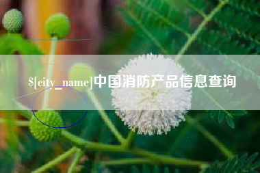 浮梁中国消防产品信息查询