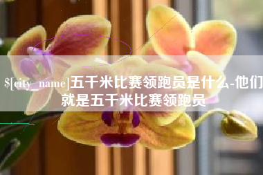 浮梁五千米比赛领跑员是什么-他们就是五千米比赛领跑员