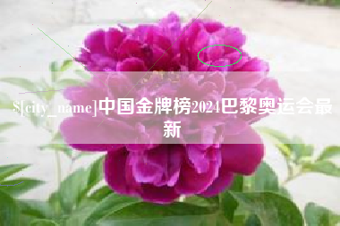 浮梁中国金牌榜2024巴黎奥运会最新
