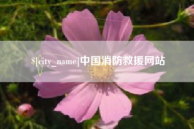 浮梁中国消防救援网站