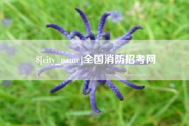 浮梁全国消防招考网