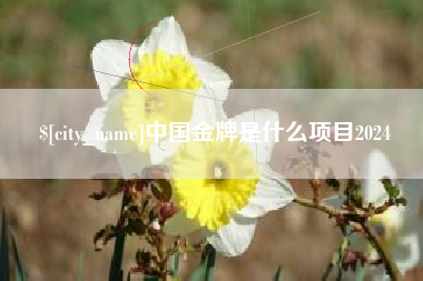 浮梁中国金牌是什么项目2024